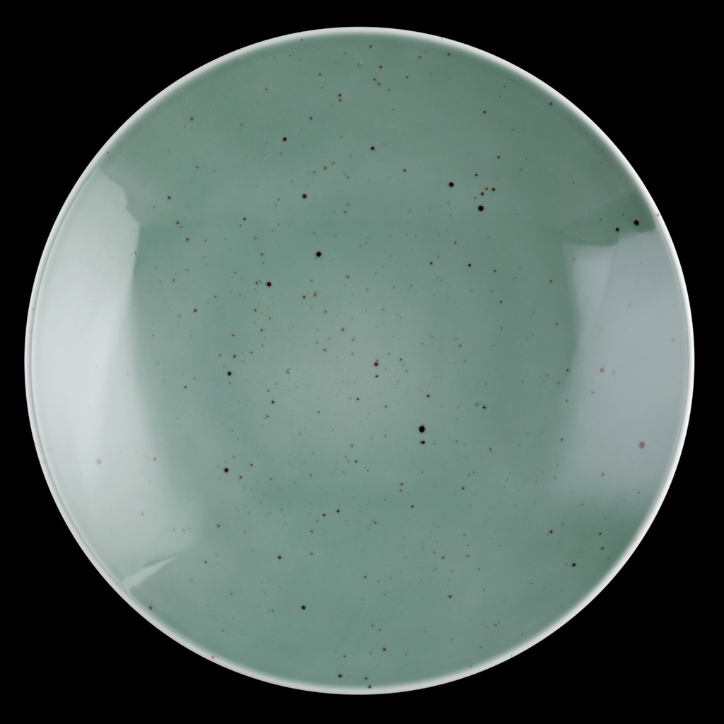 Schale M5381 coup 28 cm, Coup Fine Dining Dekor