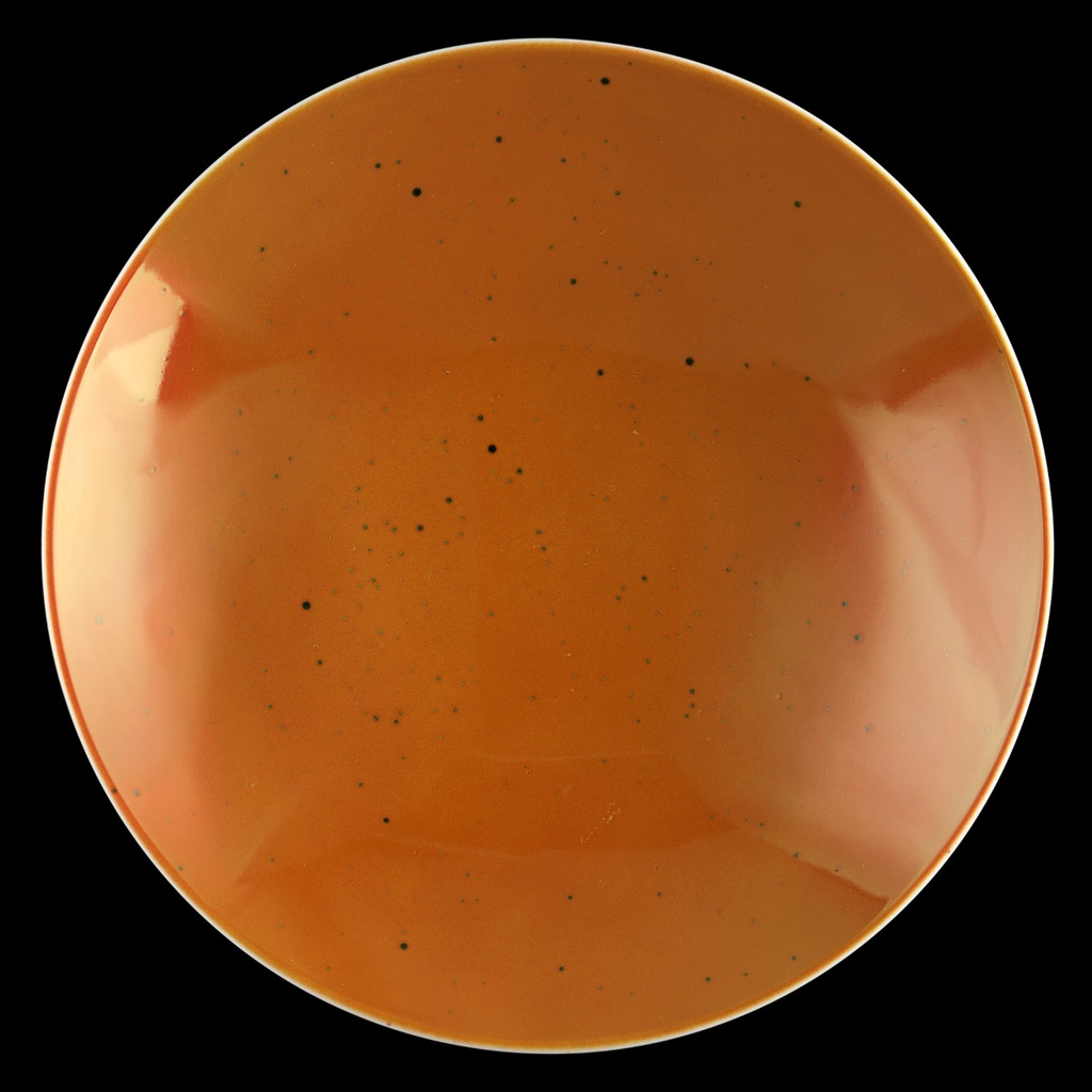 Schale M5381 coup 28 cm, Coup Fine Dining Dekor